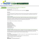 Investigating Insects in Nature