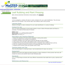 Leaf Rubbing and Plant Pressing