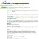 Schoolyard Field Guide and Flower Part Identification