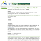 Tree Leaf Identification and Leaf Display Activity