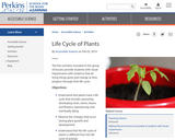 Life Cycle of Plants