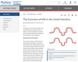 The Function of Villi in the Small Intestine