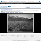 Guayle Field, Manzanar Relocation Center