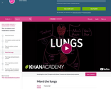 Meet the lungs