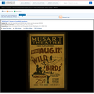 WPA Posters: Wild Birds Drama of Youthful Emotions.