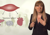 Diabetes - A Global Challenge - Muscle as an Endocrine Organ - Role in Diabetes (13:08)