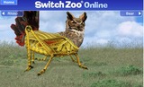 Switchzoo Animal Adaptations Lesson Plan