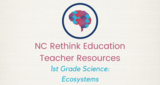 1st Grade Science Teacher Guide: Ecosystems