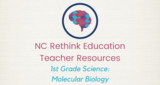 1st Grade Science Teacher Guide: Molecular Biology