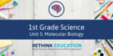 1st Grade Science Unit #5: Molecular Biology