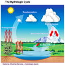 Water Cycle Lessons & Project (NCES7E1.2)