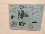 Second Grade Science: Spiders and Bats