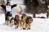 Iditarod Dog Sled Racing| Persuasive Essay