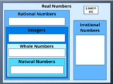 Types of Numbers Sorting Activity