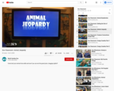 Zoo Classroom: Animal Jeopardy