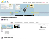 Gene Expression Essentials - PhET Interactive Simulations