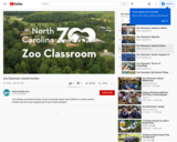 Zoo Classroom: Animal Families
