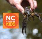 NC Culture Kids - Crayfish Across North Carolina