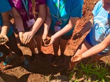 Schoolyard Field Trip: Dig Into Soil