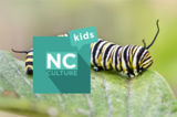 NC Culture Kids - The Butterfly Life Cycle at North Carolina Museum of Natural Sciences
