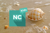 NC Culture Kids - How Are Seashells Made?