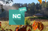 NC Culture Kids - Food Gathering at Town Creek Indian Mound