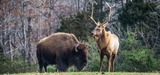 Zoo EDventures: Prairie