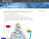 Build a Marine Food Web
