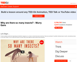 Why Are There So Many Insects?