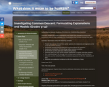 Investigating Common Descent: Formulating Explanations and Models