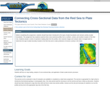 Connecting Cross-Sectional Data from the Red Sea to Plate Tectonics