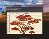 Human Family Tree