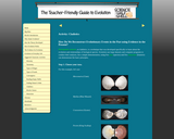 Science on the Half Shell - Activity: Cladistics