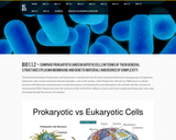 Prokaryotic vs Eukaryotic Cells