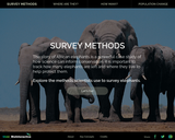 Surveying Elephants