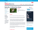 Butterfly 2: A Butterfly's Home