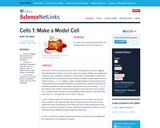 Cells 1: Make a Model Cell