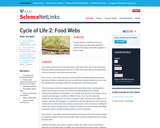 Cycle of Life 2: Food Webs