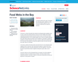 Food Webs in the Bay