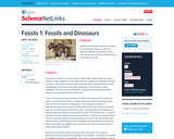Fossils 1: Fossils and Dinosaurs