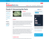 Fossils 2: Uncovering the Facts