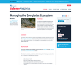Managing the Everglades Ecosystem