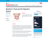 Nutrition 1: Food and the Digestive System