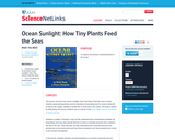 Ocean Sunlight: How Tiny Plants Feed the Seas
