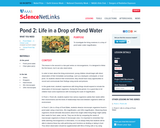 Pond 2: LIfe in a Drop of Pond Water