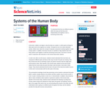 Systems of the Human Body