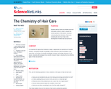 The Chemistry of Hair Care