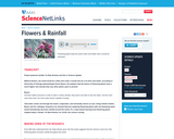 Flowers & Rainfall