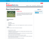 Grasslands Plants: Plant Classification