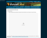 Virtual Lab: Using the Microscope